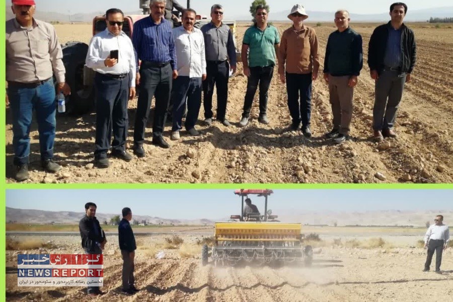 کشت 9 هزار هکتاری گندم در فسا آغاز شد