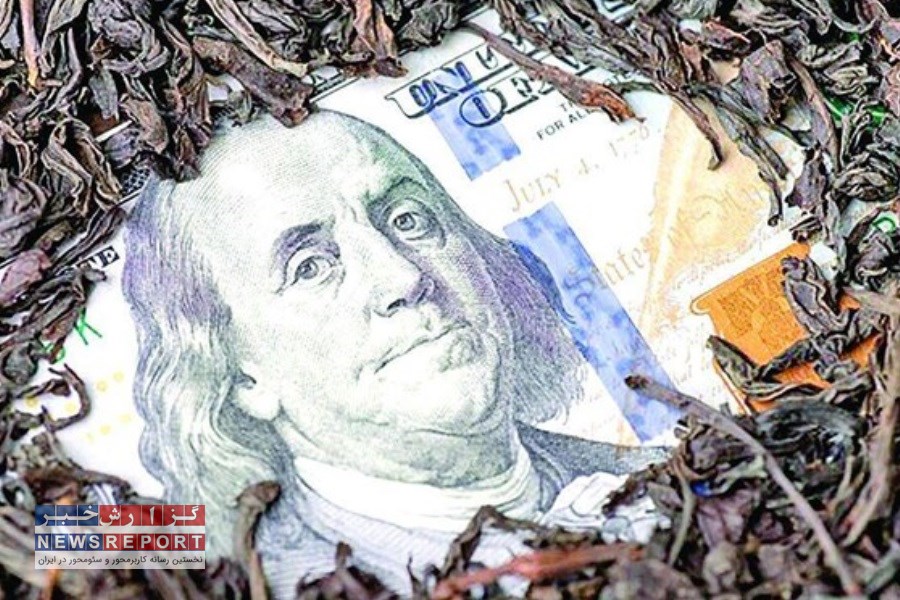 واکنش سازمان بورس در خصوص ادعای تامین مالی«چای دبش» از بازارسرمایه