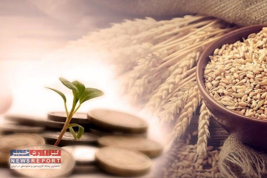 ۲۴۰۰ میلیارد تومان زکات در هشت ماهه 1403 جمع آوری شد