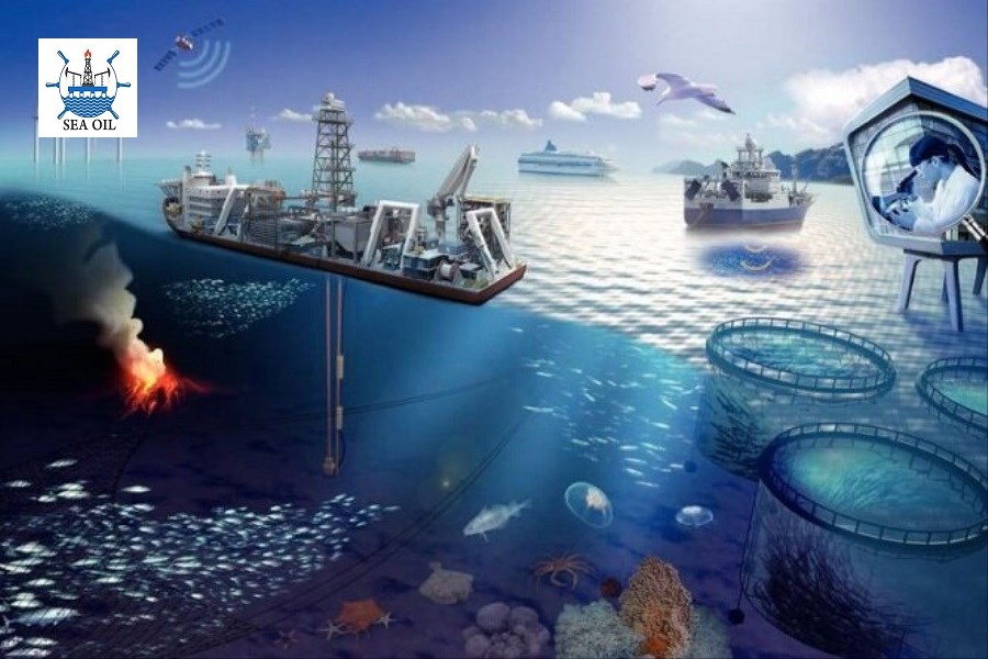 تشکیل سازمان توسعه دریامحور؛ گامی دیرهنگام برای ساماندهی ظرفیت‌های ساحلی ایران