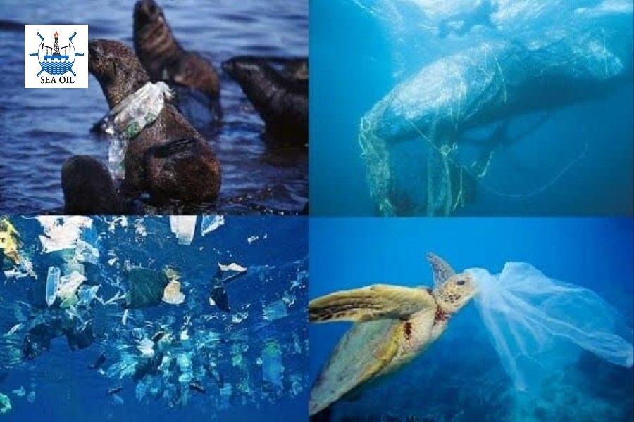 تأکید؛ سازمان بین‌المللی دریانوردی (IMO) بر حفاظت از اقیانوس‌ها