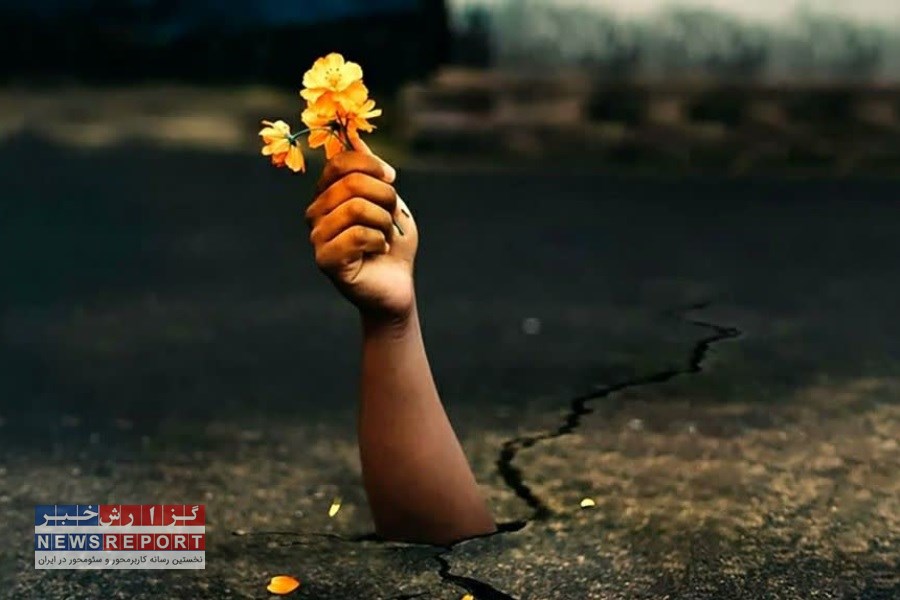 تولید مستند زندگی در شیراز