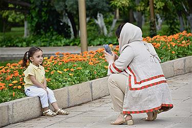 تصویر اردیبهشت شیراز