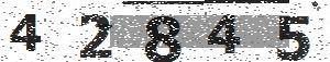 تصویر امنیتی